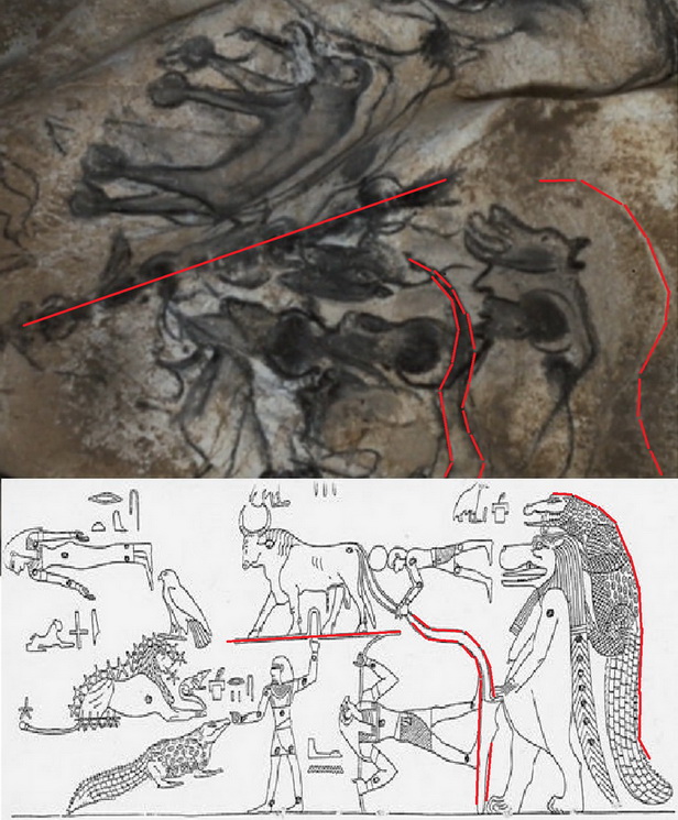 hippo compared outlined.jpg
